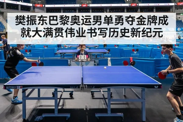 樊振东巴黎奥运男单勇夺金牌成就大满贯伟业书写历史新纪元