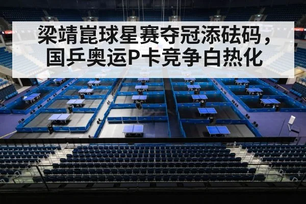 Liang Jingkun table tennis