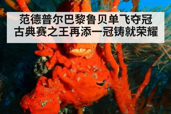 范德普尔巴黎鲁贝单飞夺冠 古典赛之王再添一冠铸就荣耀